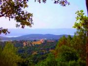 Location de particuliers � particuliers Corse,Votre location de vacances en toute tranquillit� au soleil du printemps Location saisonni�re Corse du Sud photo 12