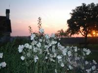 Location de particuliers � particuliers Aupr�s des vignes Echevannes Vue magnifique sur la vall�e de la Loue Chambres d'hotes Doubs photo 8