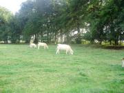 Location de particuliers � particuliers G�te 