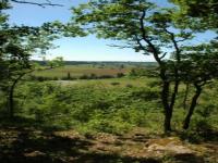 Location de particuliers � particuliers La Vigne Gite sejour dans les vignobles, belle vue sur Villefranche de Longchat G�te Dordogne photo 6