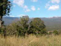 Location de particuliers � particuliers Bungalow Chalet meubl� 30m2 Porto vecchio - Pardinelli Chalet Corse du Sud photo 7
