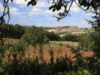 Location de particuliers � particuliers South Tarn Gites, Gites Rural, calme pr�s Lautrec G�te Tarn photo 10