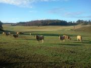 Location de particuliers � particuliers Les Cr�mades � proximit� du Lac de Naussac, sur le chemin de Stevenson Chambres d'hotes Loz�re photo 3