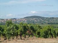 Location de particuliers � particuliers Bijou de Soleil - Maison de Charme - P�zenas Location saisonni�re H�rault photo 8