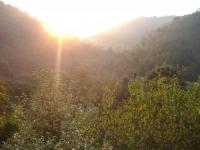 Location de particuliers � particuliers Location de g�tes et chambre d'h�te dans le Gard Location saisonni�re Gard photo 5