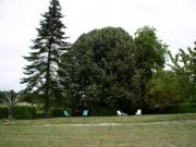 Location de particuliers � particuliers LE PERIGORD VERT POUR VOS VACANCES Location saisonni�re Dordogne photo 10