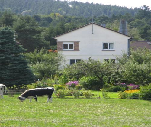 Location de particuliers � particuliers Alsace Gite ind�pendant au coeur du parc naturel G�te Haut Rhin