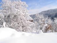 Location de particuliers � particuliers Alsace Gite ind�pendant au coeur du parc naturel G�te Haut Rhin photo 13