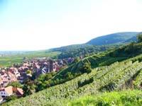 Location de particuliers � particuliers 2 g�tes 3 �pis G�tes de France au calme pr�s de Colmar G�te Haut Rhin photo 7