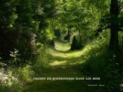 Location de particuliers � particuliers MAISON TOUT CONFORT PRES DE LA PLAGE DANS LA BAIE D'AUDIERNE. *Mer � 60m *vue mer *Proche POINTE DU RAZ Location saisonni�re Finist�re photo 14