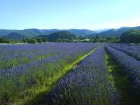 Location de particuliers � particuliers G�tes Chambres Stages en Ard�che G�te Ard�che photo 7