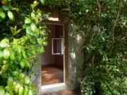 Location de particuliers � particuliers Gite Cam�lias, mer et campagne G�te Landes photo 4