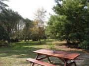 Location de particuliers � particuliers Gite Cam�lias, mer et campagne G�te Landes photo 8