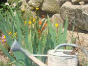 Location de particuliers � particuliers LE TIPI DU HOHWALD, s�jours et week-end sous TIPI en pleine campagne Location saisonni�re Bas Rhin photo 13