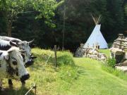 Location de particuliers � particuliers LE TIPI DU HOHWALD, s�jours et week-end sous TIPI en pleine campagne Location saisonni�re Bas Rhin photo 5