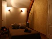 Location de particuliers � particuliers G�te avec Spa en Sologne proche zoo de Beauval et des ch�teaux de la Loire G�te Loir et Cher photo 6