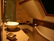 Location de particuliers � particuliers G�te avec Spa en Sologne proche zoo de Beauval et des ch�teaux de la Loire G�te Loir et Cher photo 7