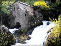 Location de particuliers � particuliers La Cambi�re Blandas aux portes du Cirque de Navacelles G�te Gard photo 8