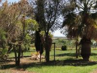 Location de particuliers � particuliers Appartement ind�pendant dans domaine, tout pr�s des plages Location saisonni�re H�rault photo 2