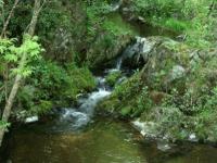Location de particuliers � particuliers Gite en pleine nature G�te Ard�che photo 5
