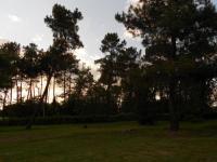 Location de particuliers � particuliers Location vacances COURSAC - DORDOGNE, au pied de la for�t et des chemins de randonn�es Location saisonni�re Dordogne photo 10
