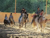 Location de particuliers � particuliers Gite centre �questre Ranch du Bel Air A la crois�e du P�rigord et de l�oc�an G�te d'�tape Lot et Garonne photo 10