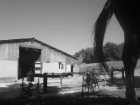 Location de particuliers � particuliers Gite centre �questre Ranch du Bel Air A la crois�e du P�rigord et de l�oc�an G�te d'�tape Lot et Garonne photo 9