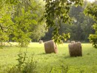 Location de particuliers � particuliers LE MOULIN DE COCHEPIE Chambres d'hotes Yonne photo 8
