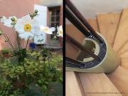 Location de particuliers � particuliers Chambre d'h�te - CHEZ PATRICIA & JACME Chambres d'hotes Tarn et Garonne photo 8