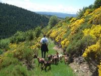 Location de particuliers � particuliers G�te de La Combe d'Or g�te � la Ferme G�te Ard�che photo 7
