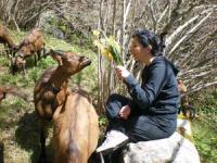 Location de particuliers � particuliers G�te de La Combe d'Or g�te � la Ferme G�te Ard�che photo 8
