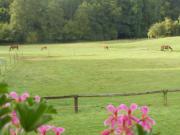 Location de particuliers � particuliers GITE PROXIMITE DISNEYLAND PARIS G�te Seine et Marne photo 8