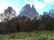 Location de particuliers � particuliers GREEN BIKE PYRENEES montagne au coeur de la Vall�e d'Ossau Chambres d'hotes Pyr�n�es Atlantiques photo 13