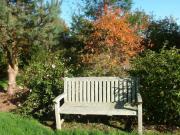 Location de particuliers � particuliers Manoir de Savigny: Chambres d'hotes dans la Manchen environnement de caract�re et au calme Chambres d'hotes Manche photo 8