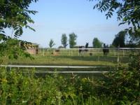 Location de particuliers � particuliers Le Colvert Chambre d'hotes de charme aux environs de Chartres Chambres d'hotes Eure et Loir photo 8