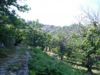 Location de particuliers � particuliers Gite Aux bonnes sources � Saint-And�ol de Vals, Ard�che G�te Ard�che photo 9