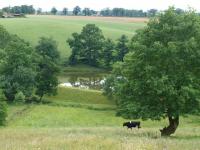 Location de particuliers � particuliers Gite rural G�te Aveyron photo 10