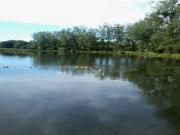 Location de particuliers � particuliers Chateaudeclaids,  parc de 10 hectares avec �tangs lacs et rivi�res G�te Ain photo 10