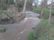 Location de particuliers � particuliers Chateaudeclaids,  parc de 10 hectares avec �tangs lacs et rivi�res G�te Ain photo 12