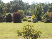 Location de particuliers � particuliers Chateaudeclaids,  parc de 10 hectares avec �tangs lacs et rivi�res G�te Ain photo 4