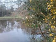 Location de particuliers � particuliers Chateaudeclaids,  parc de 10 hectares avec �tangs lacs et rivi�res G�te Ain photo 9