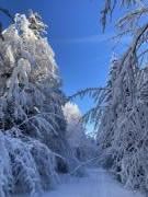 Location de particuliers � particuliers G�tes de 4 personnes dans ferme comtoise G�te Doubs photo 11