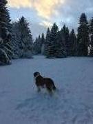 Location de particuliers � particuliers G�tes de 4 personnes dans ferme comtoise G�te Doubs photo 14