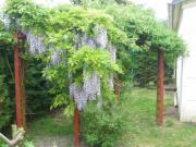Location de particuliers � particuliers LOCATION MAISON EN BORD DE MER ASNELLES Location saisonni�re Calvados photo 14