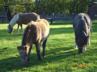 Location de particuliers � particuliers La Cour Saint Thomas - accessible Tourisme et Handicap G�te Calvados photo 10