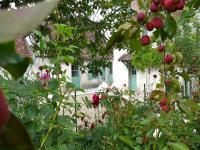 Location de particuliers � particuliers Le petit Colombier tout pr�s de Beauval Chambres d'hotes Loir et Cher photo 4