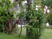 Location de particuliers � particuliers Chambres d'h�tes entre terre et mer au c�ur du bocage vend�en Chambres d'hotes Vend�e photo 3