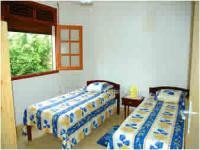 Location de particuliers � particuliers Les Colibris de Balata Location saisonni�re Martinique photo 4