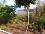 Location de particuliers � particuliers Location de vacances Location saisonni�re Guadeloupe photo 9