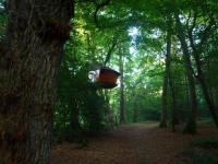 Location de particuliers � particuliers Les Cabanes de Kermenguy - cabanes dans les arbres et h�bergements Insolites en Bretagne Chambres d'hotes Finist�re photo 3